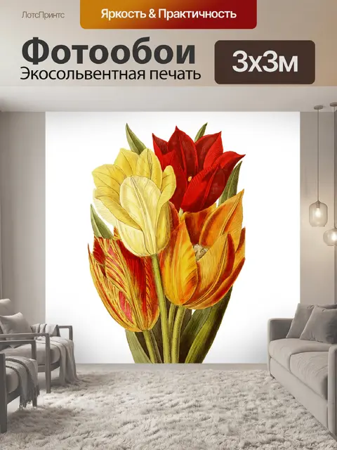 Фотообои Цветок тюльпана цветок искусство