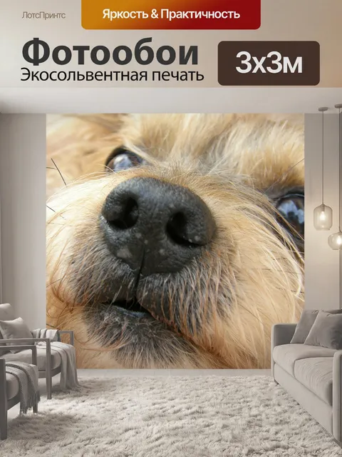 Фотообои Собаки