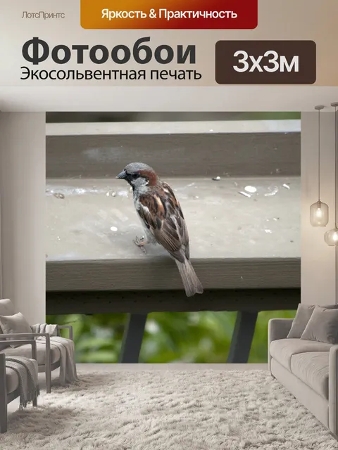 Фотообои Воробей