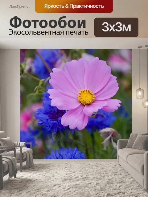 Фотообои Полевые цветы