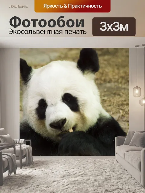 Фотообои Панда