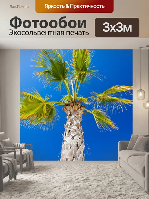 Фотообои Пальмы и голубое небо