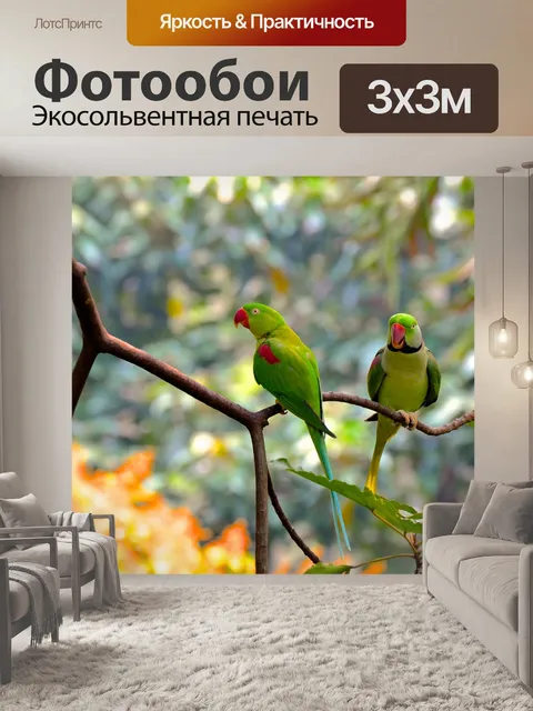 Фотообои Птицы