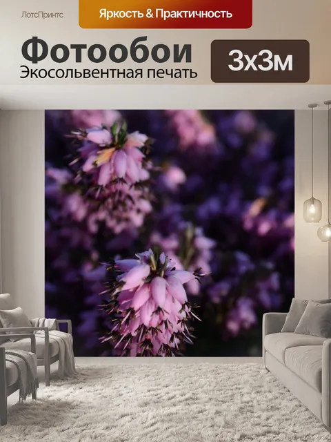 Фотообои вереск