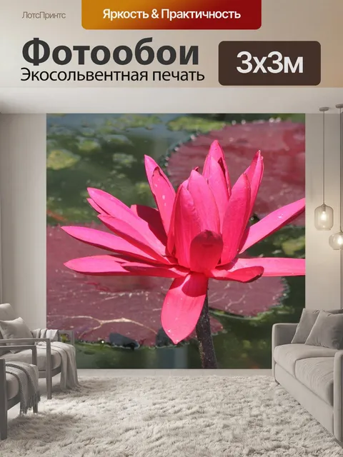 Фотообои Водяная лилия