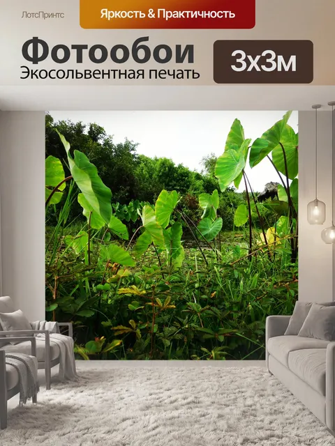 Фотообои Растения хамы