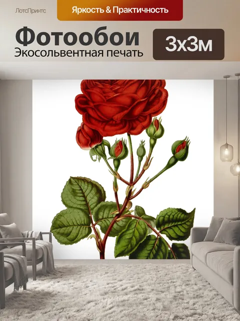 Фотообои Эхинацея цветок старинное искусство