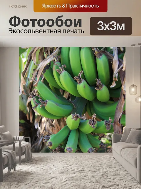Фотообои Дикие зеленые бананы