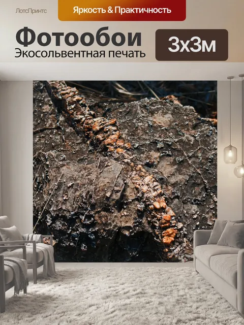 Фотообои серый камень с конгломератной жилкой