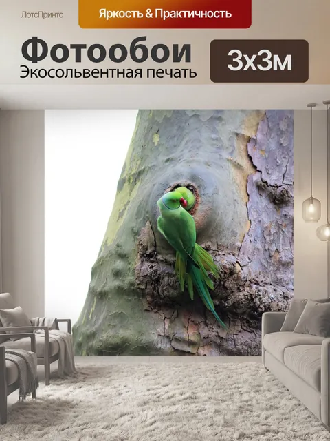 Фотообои Попугаи в Остерпарк, Амстердам