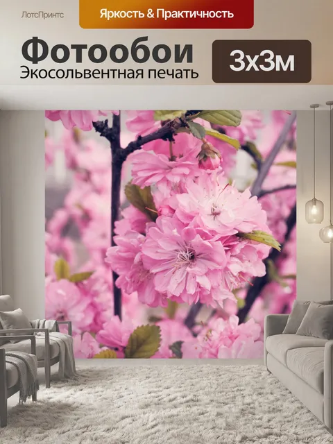 Фотообои сакура
