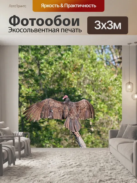 Фотообои Природа