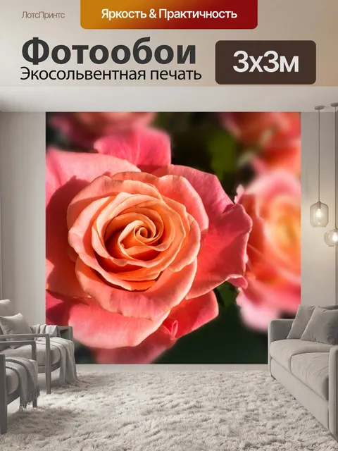 Фотообои Роза