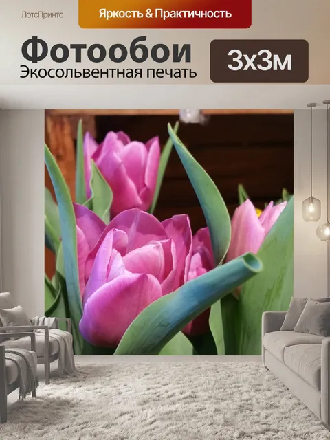 Фотообои Розовые тюльпаны
