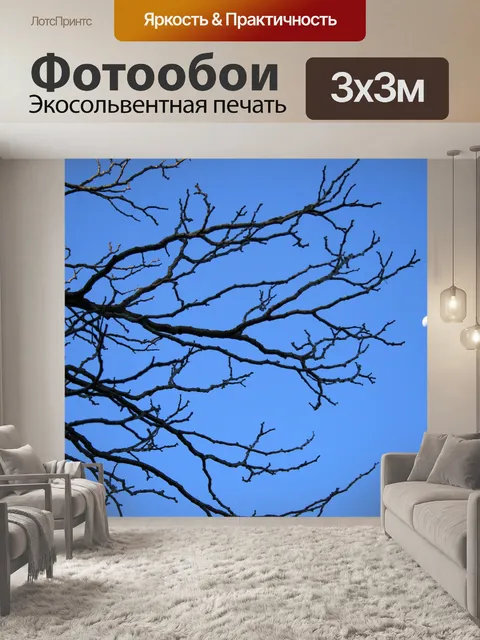 Фотообои дерево и полумесяц против голубого неба