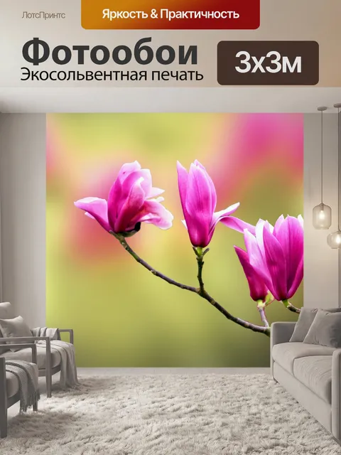 Фотообои Цветы магнолии
