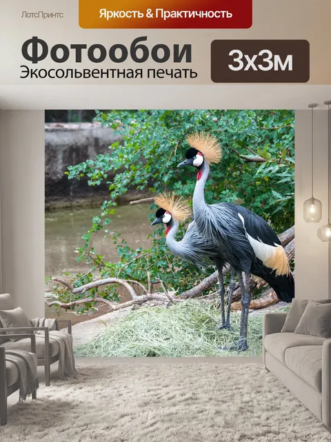 Фотообои Венценосный журавль