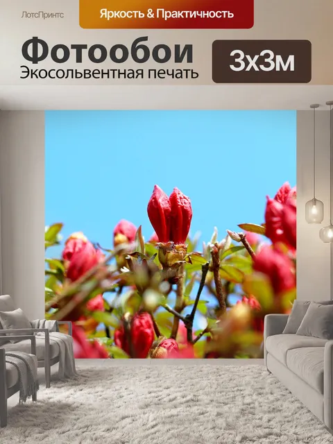 Фотообои Азалия