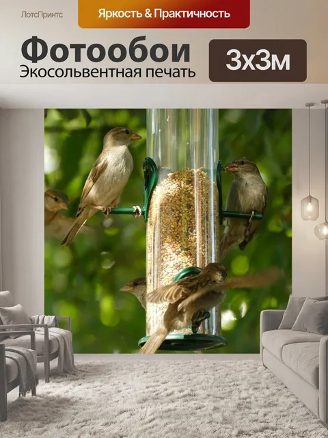 Фотообои Птица