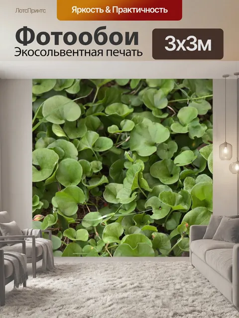 Фотообои маленькие листья чудесного газона