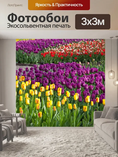 Фотообои красочные тюльпаны