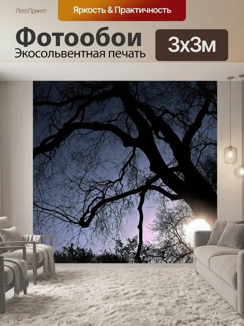 Фотообои сдержанное изображение выступающего солн