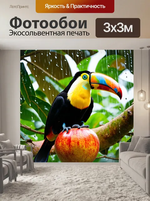 Фотообои тукан, исследующий тропический дождевой лес, сидящий на ярком плоде дерева, с каплями дождя, падающими…