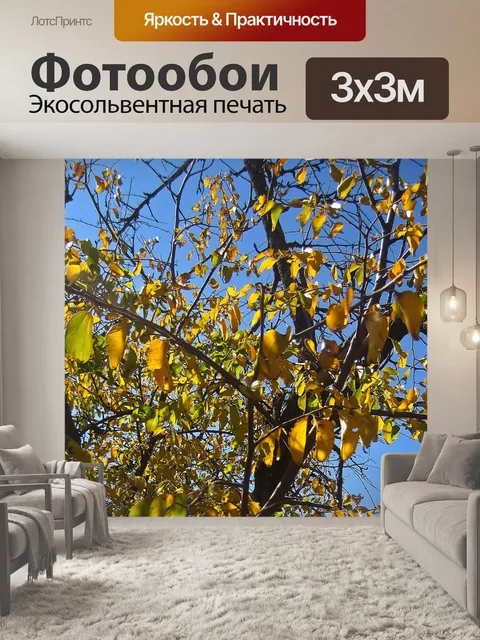 Фотообои желтые листья на дереве осенью