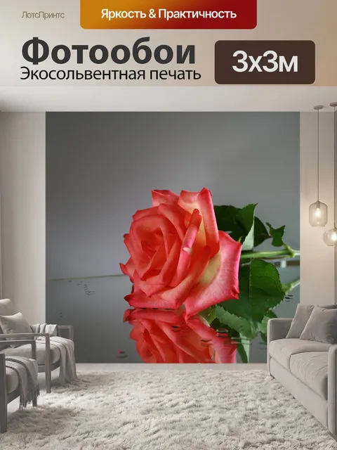 Фотообои Роза