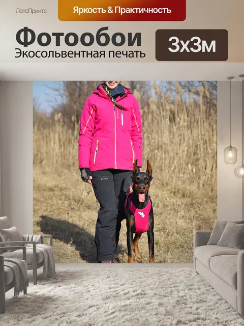 Фотообои Доберман