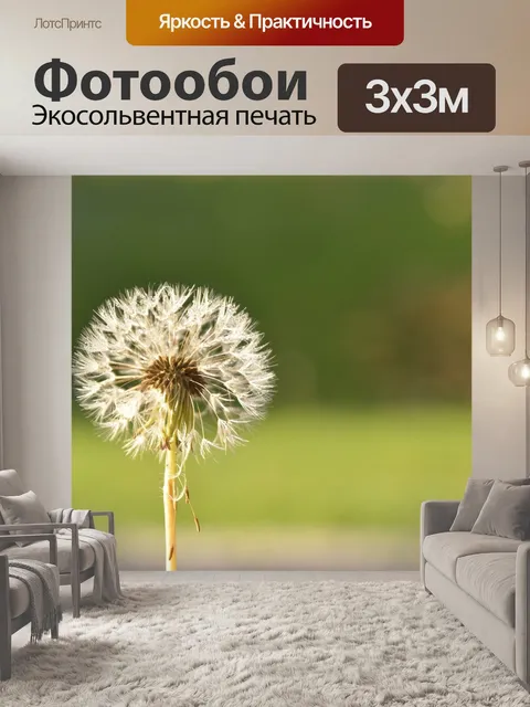 Фотообои Одуванчик