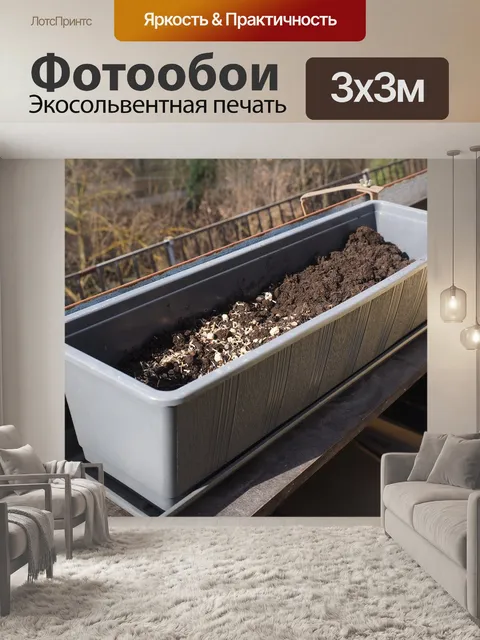 Фотообои Цветочная коробка