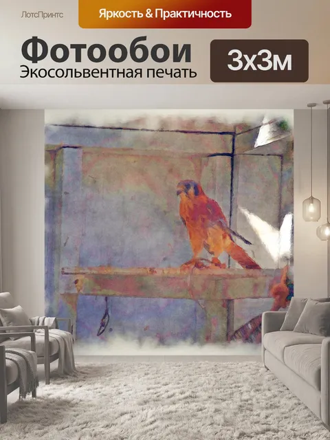 Фотообои ястреб