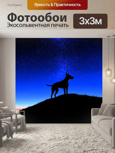 Фотообои бультерьер, смотрящий на звезды ночного неба с верхушки холма, его силуэт выделяется на фоне мерцающих звезд