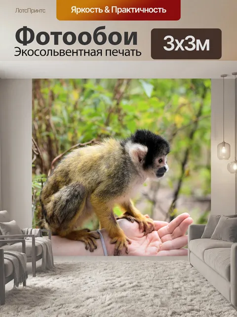 Фотообои Белка обезьяны