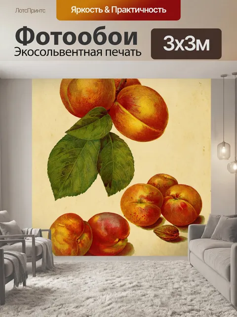 Фотообои Винтажный принт с абрикосовыми фруктами
