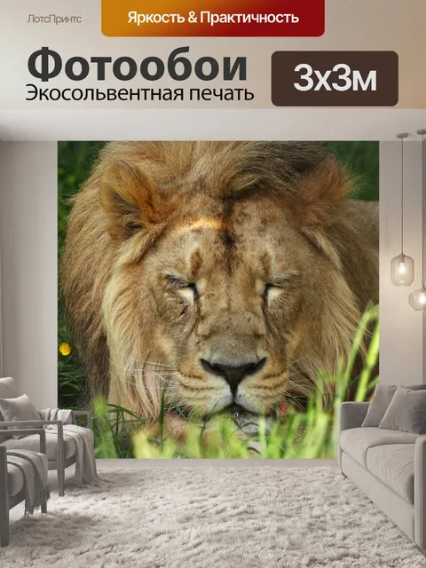 Фотообои Африка