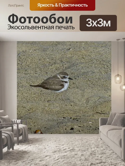 Фотообои Вложенные снежные плоты