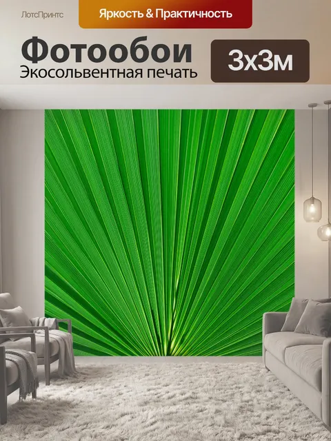 Фотообои Деталь листьев пальмы
