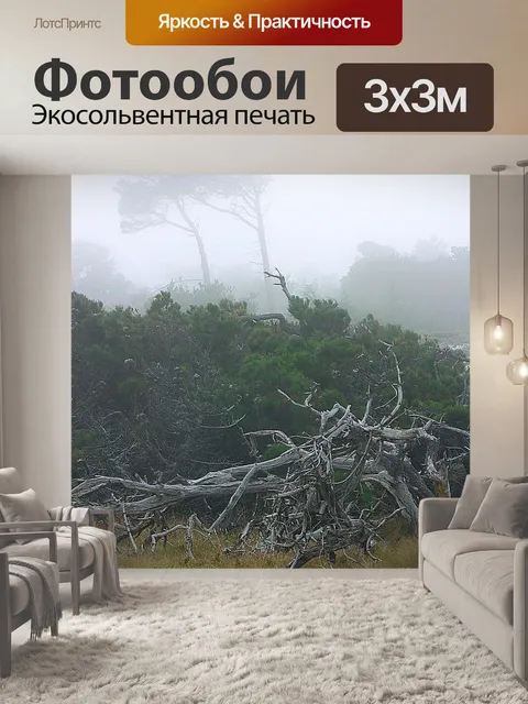 Фотообои Монтерей
