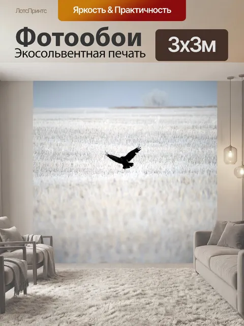 Фотообои Ворона