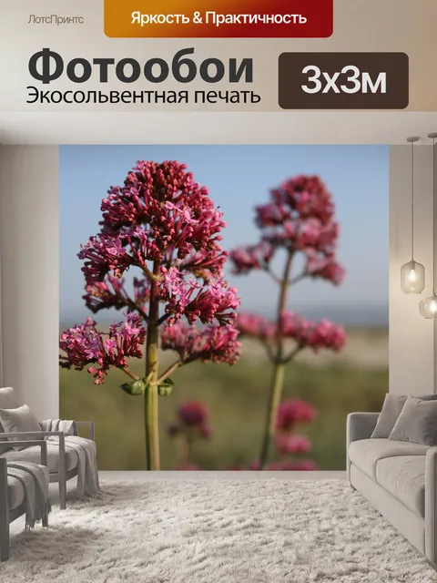 Фотообои Цветы
