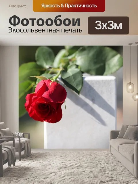 Фотообои Красная роза