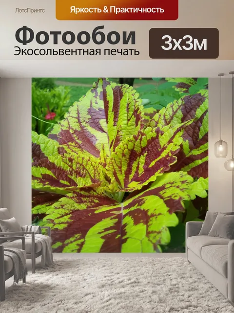 Фотообои Красивый зеленый завод