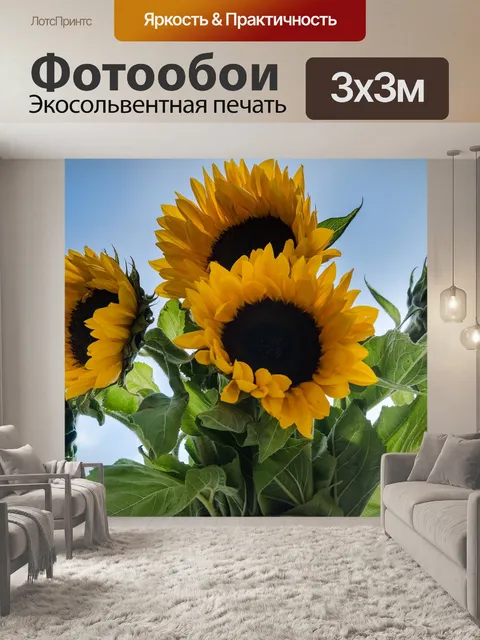 Фотообои Подсолнухи