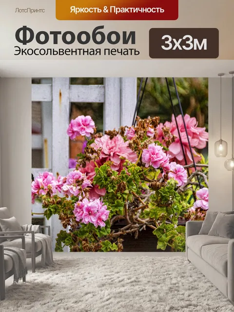 Фотообои Розовые цветы герани