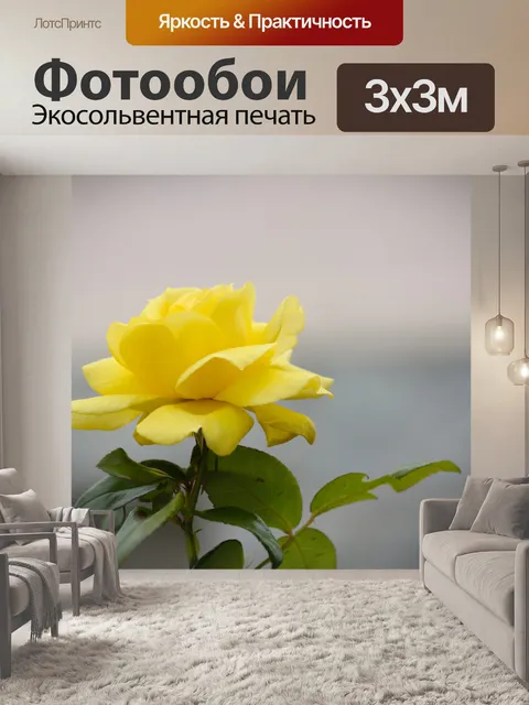 Фотообои Желтая роза в цвету