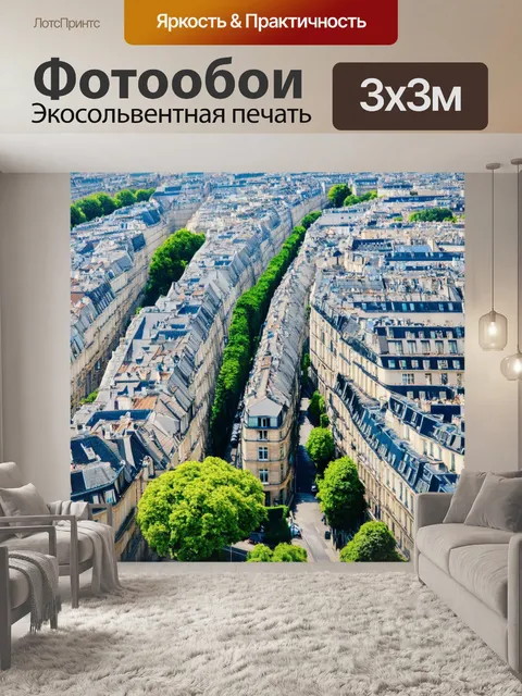 Фотообои вид с высоты на парижский квартал