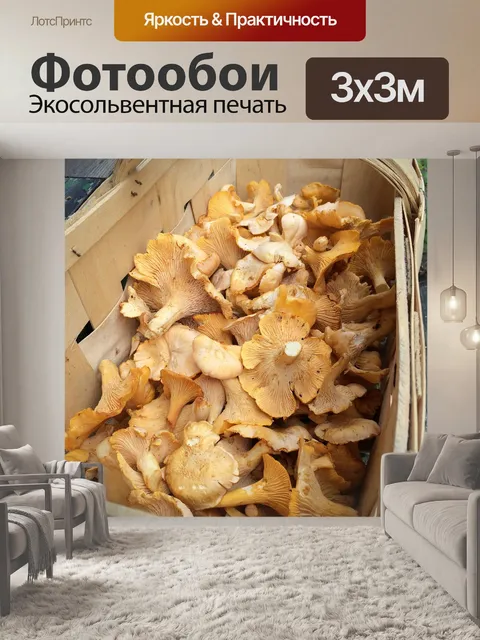 Фотообои Гриб