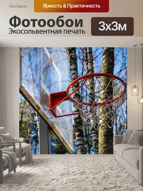 Фотообои Баскетбольное кольцо